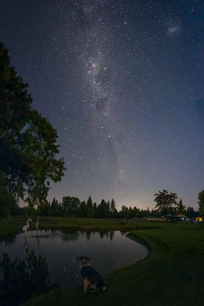 Alby and Milky Way at Alexandra Golf Course